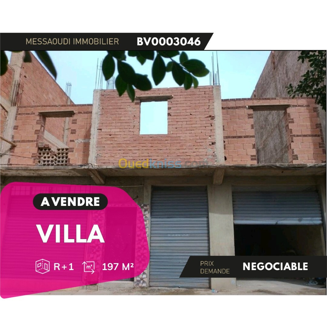 Vente Villa Aïn Defla Ain defla