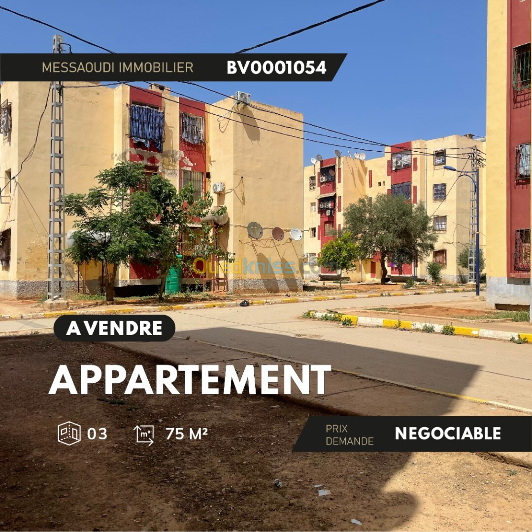 Vente Appartement F03 Aïn Defla El attaf