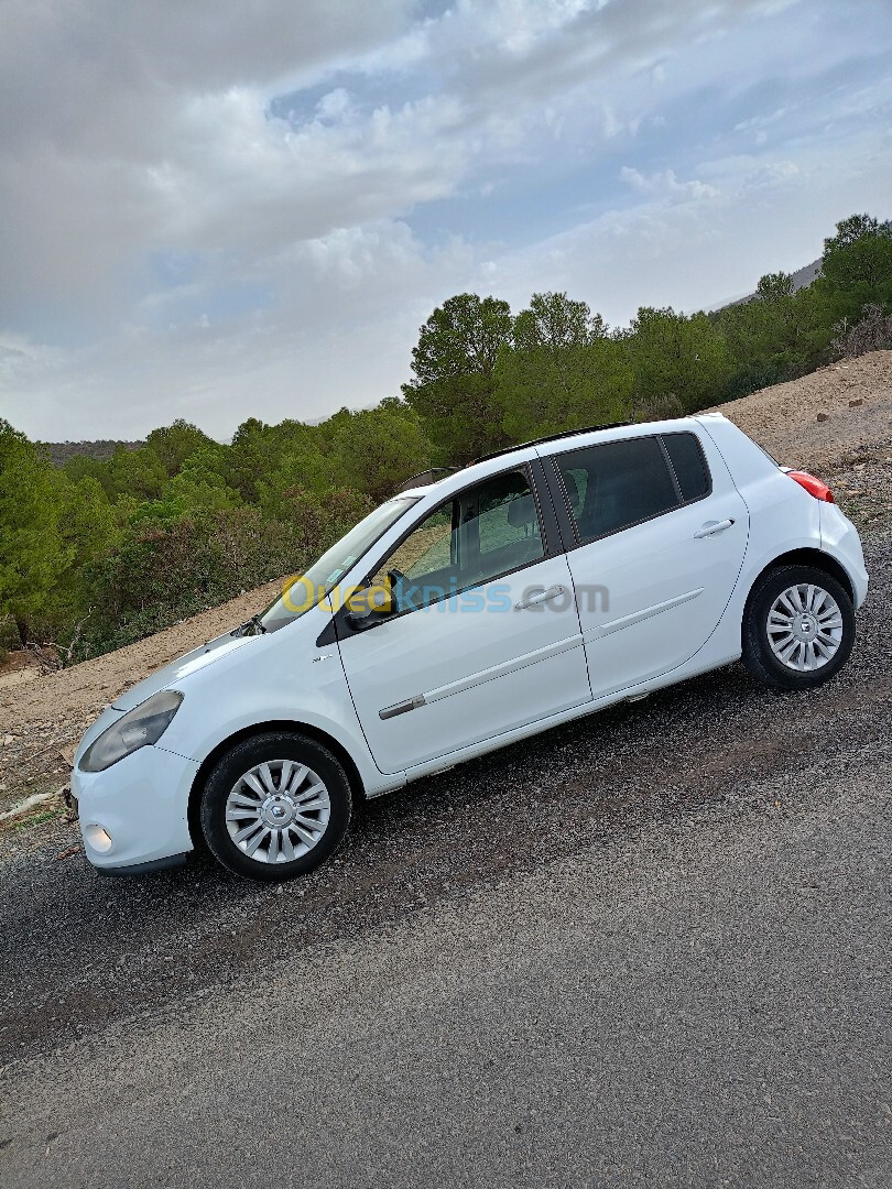 Renault Clio 3 2012 Night and Day