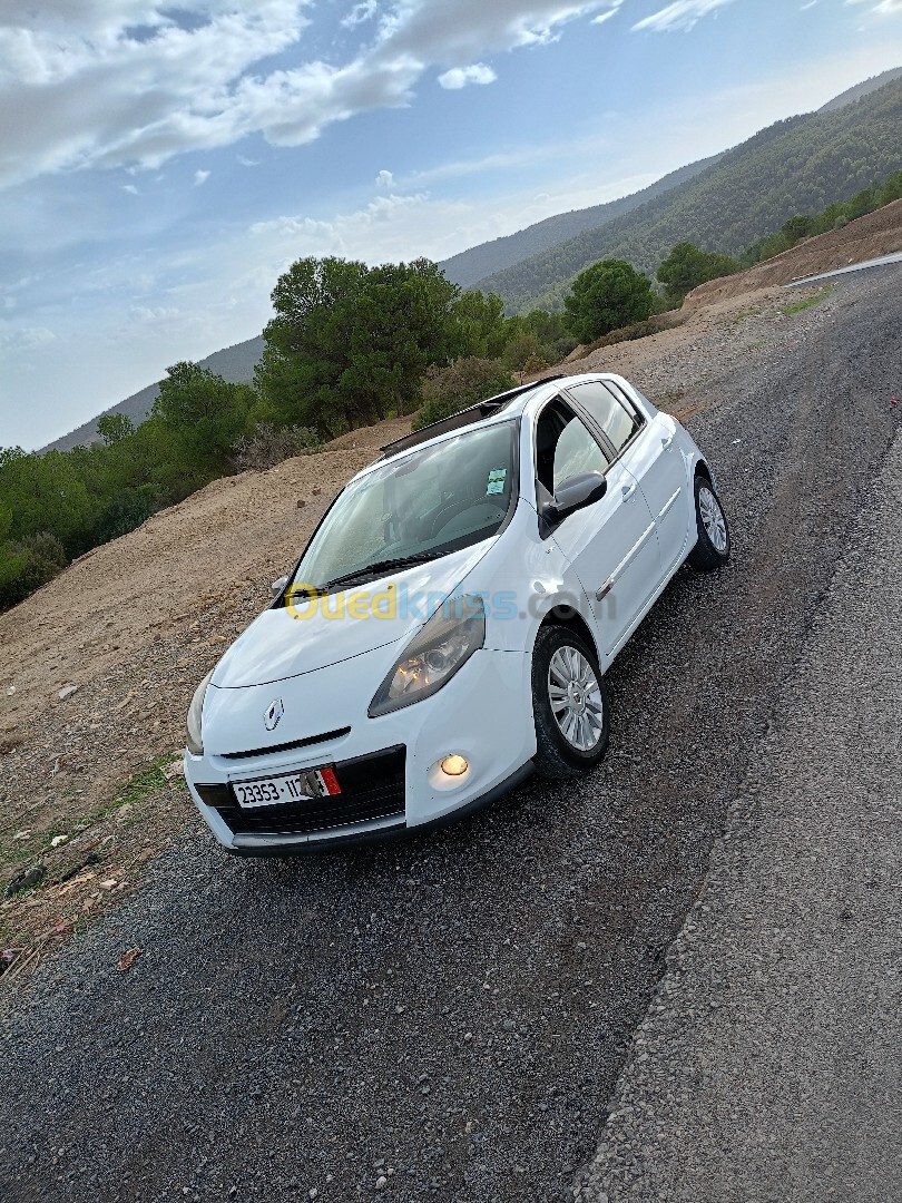 Renault Clio 3 2012 Night and Day