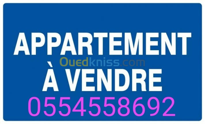 Vente Appartement F3 Alger Saoula