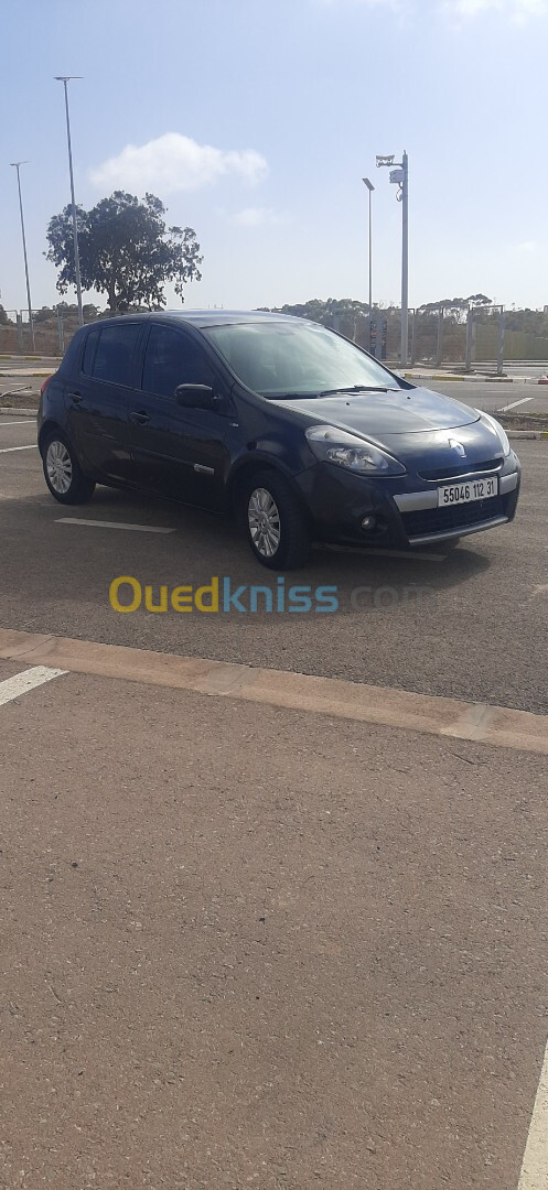 Renault Clio 3 2013 Night and Day