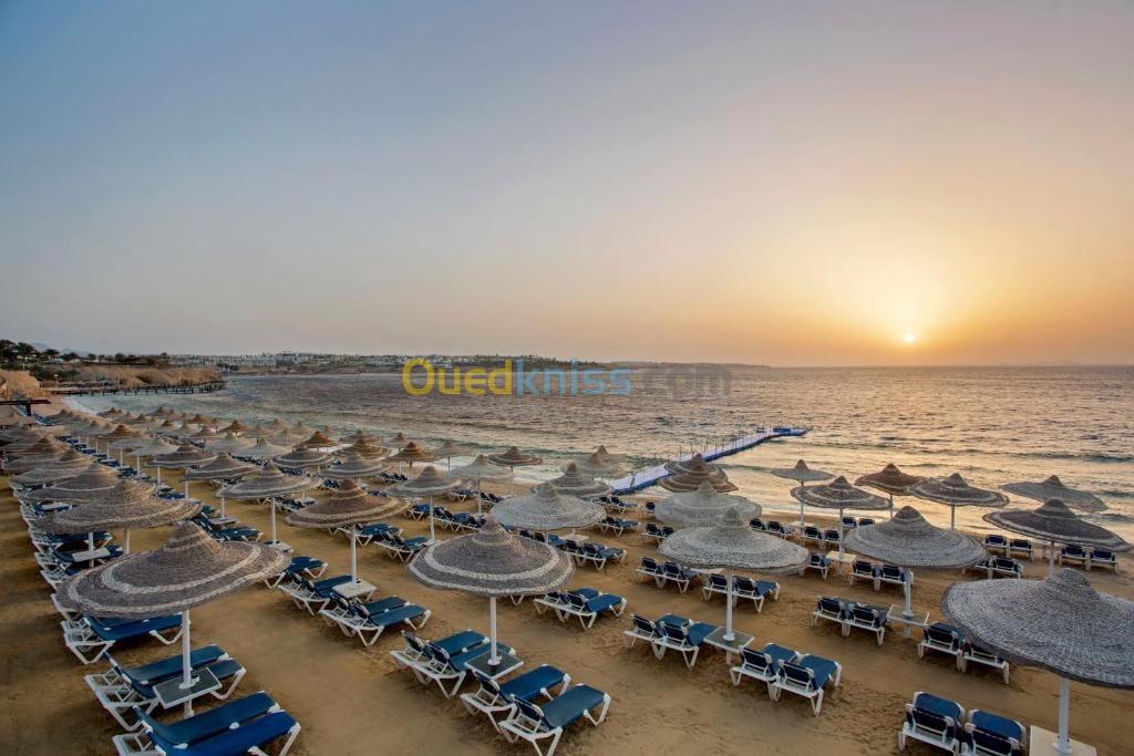 TOP Sharm El Sheikh Juillet & Aout HOTEL SULTAN GARDENS RESORT