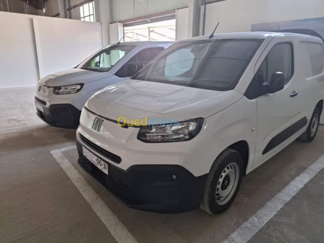 Fiat Professional Doblo 2024 2024