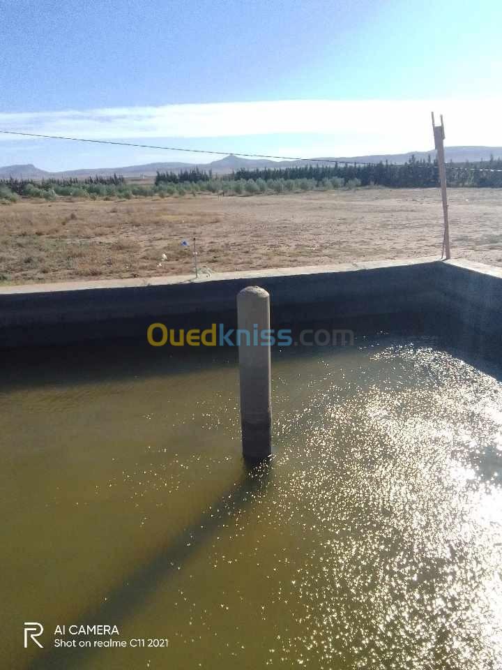 Vente Terrain Agricole Djelfa Bouira lahdab