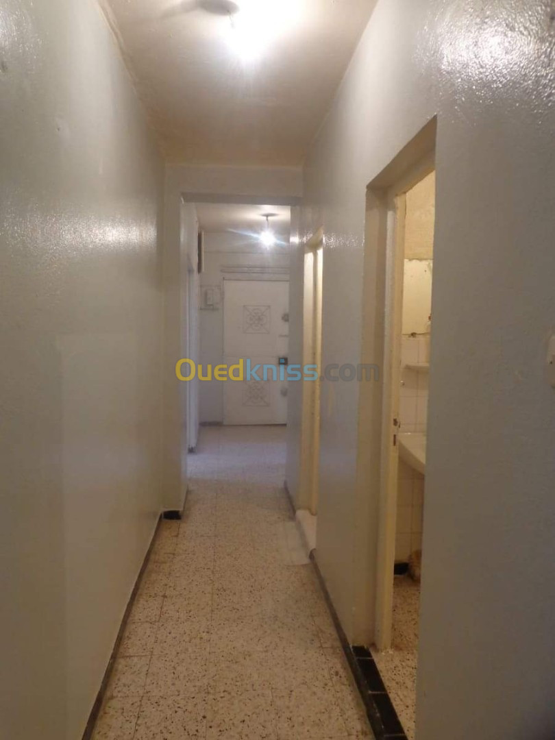 Location Appartement F3 Oran Oran