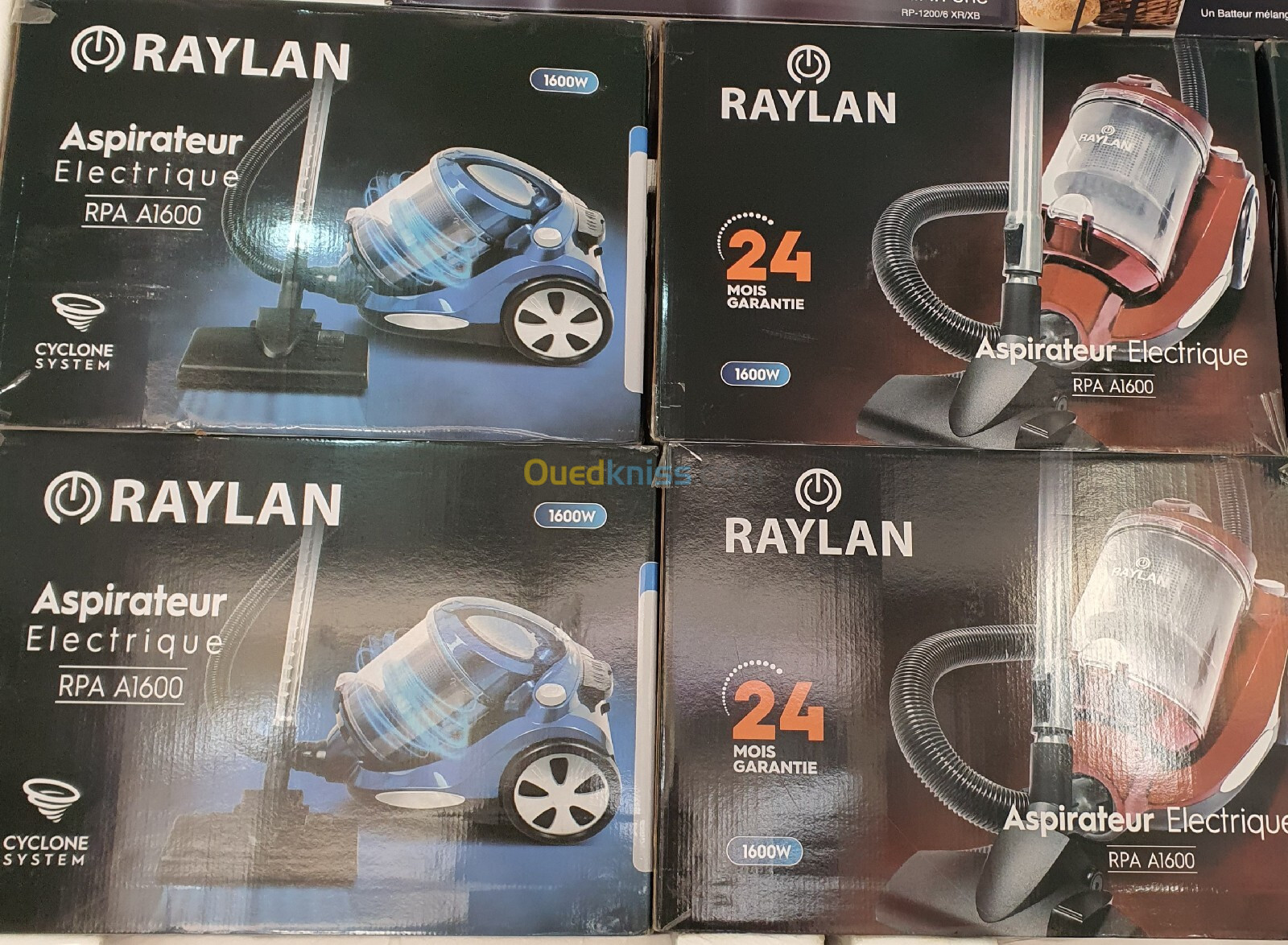 Aspirateur raylan 1600w