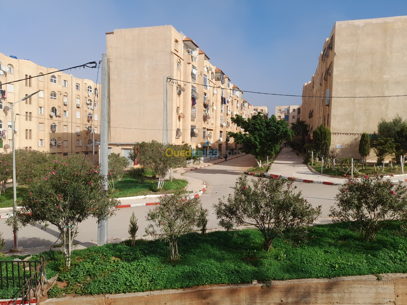 Vente Appartement F3 Tipaza Bou haroun