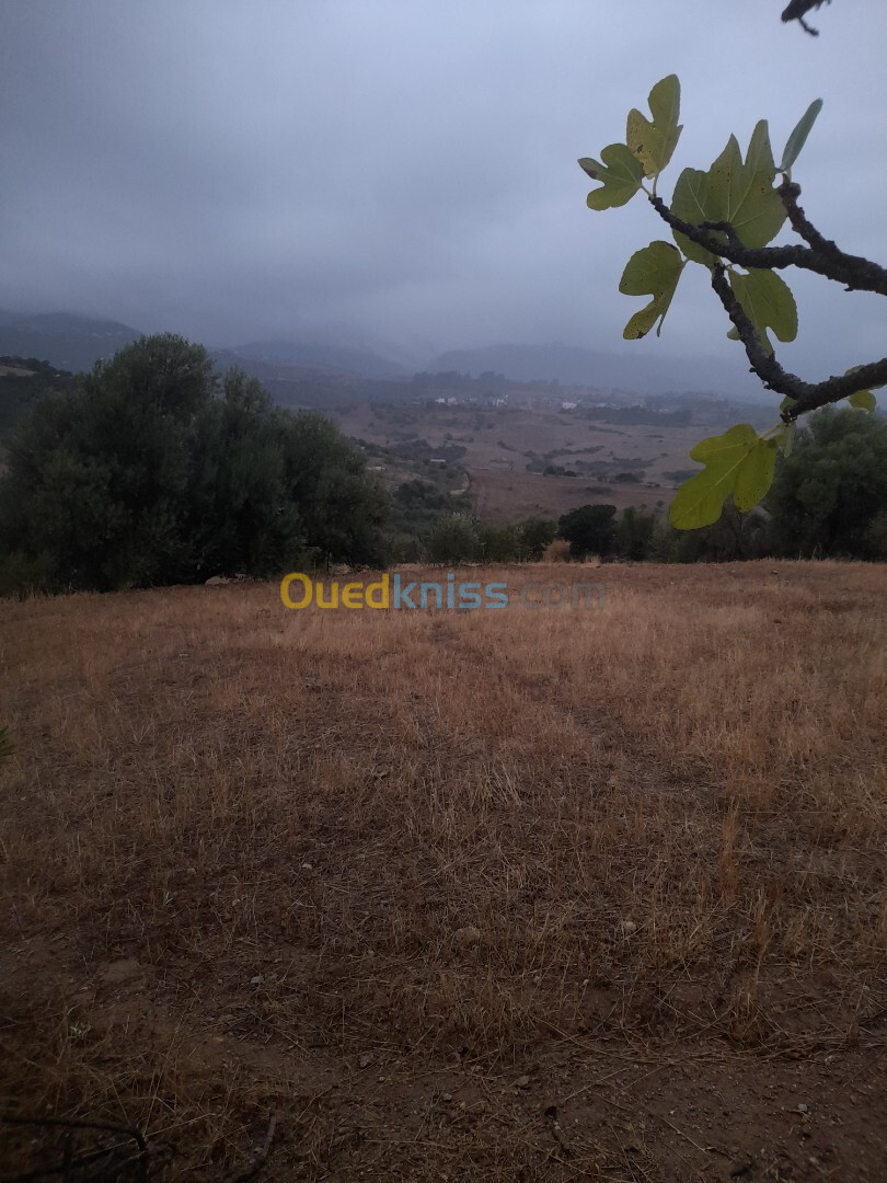 Vente Terrain Tizi Ouzou Tizi ghenif