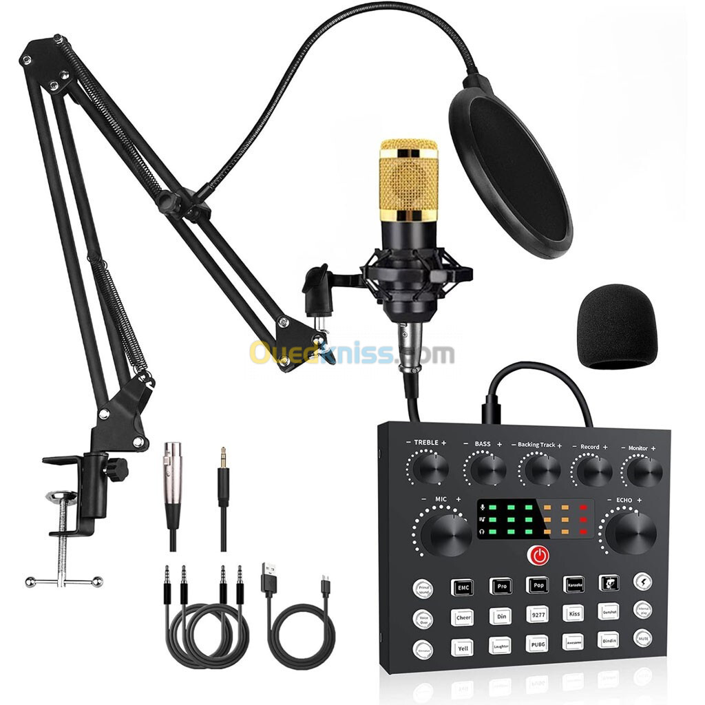 Kits de Microphone BM800 avec Carte Son en Direct, Bras de Suspension en Ciseaux, Filtre Anti-Pop