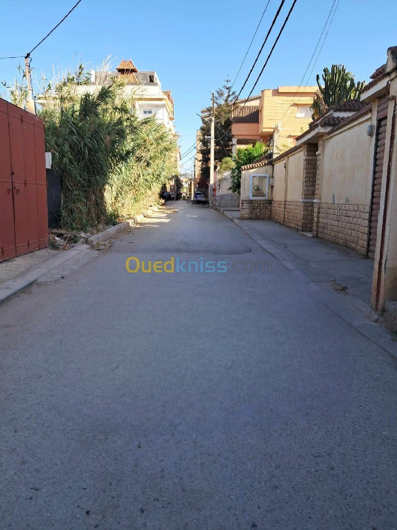 Vente Terrain Alger Bordj el kiffan