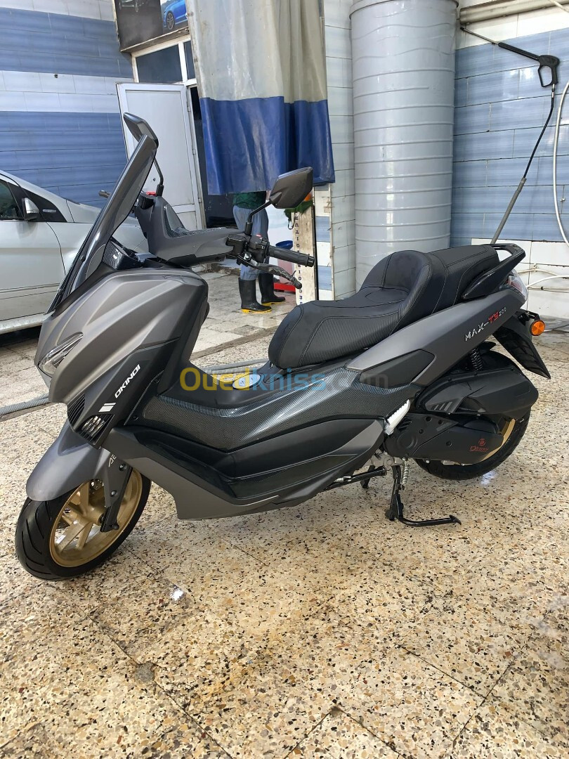 Okinoia Max TS 200 2024