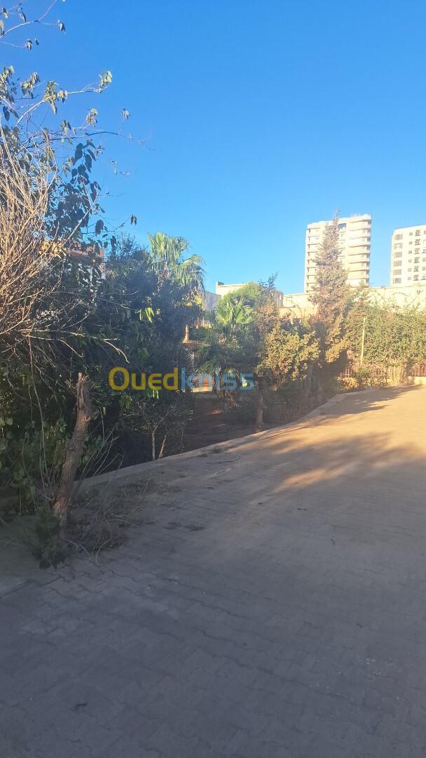 Vente Appartement F3 Oran Bir el djir