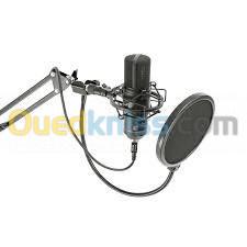 Microphone Professional BST STM300 PLUS Kit