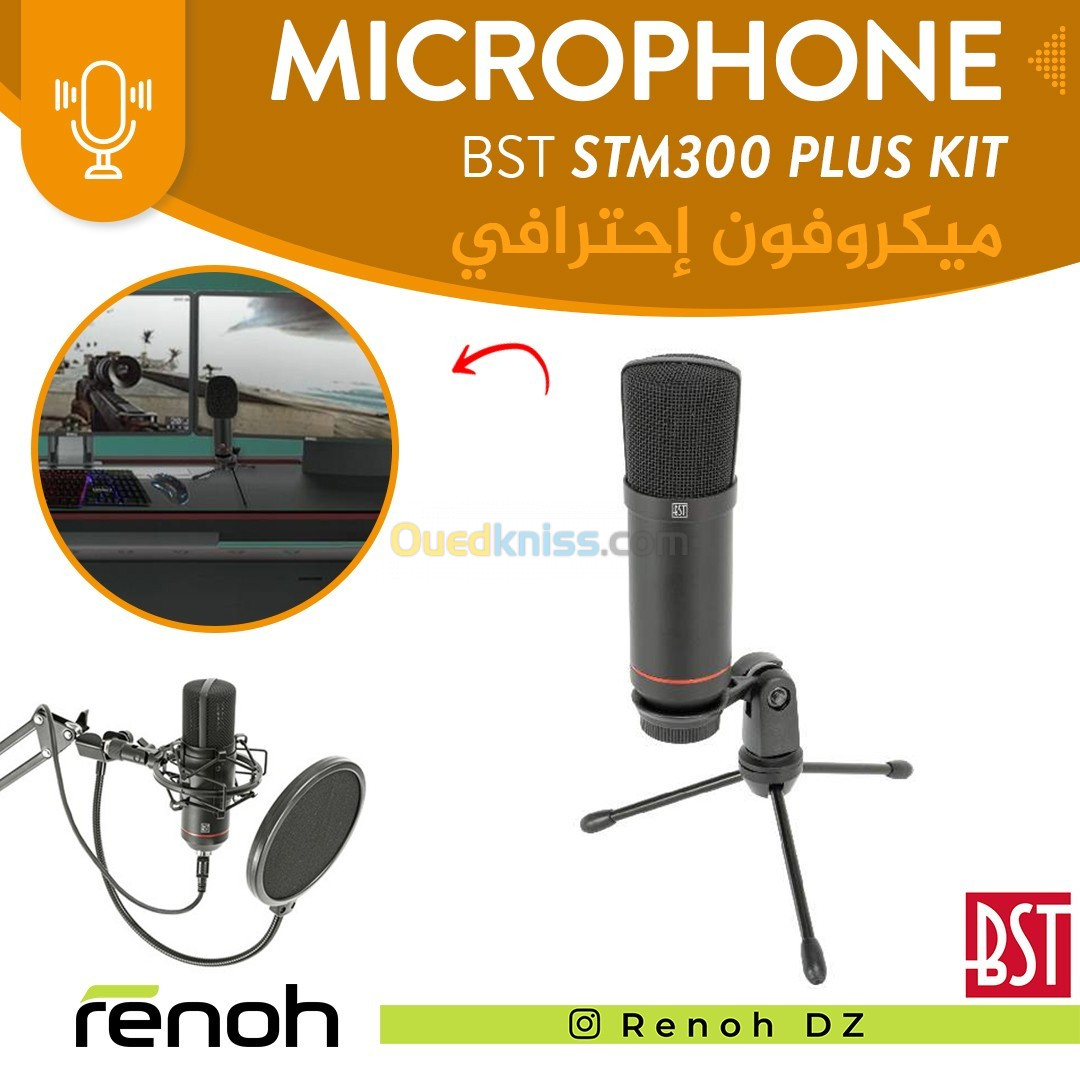 Microphone Professional BST STM300 PLUS Kit