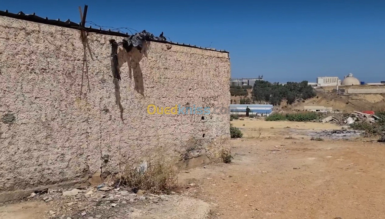 Vente Terrain Boumerdès Ouled moussa