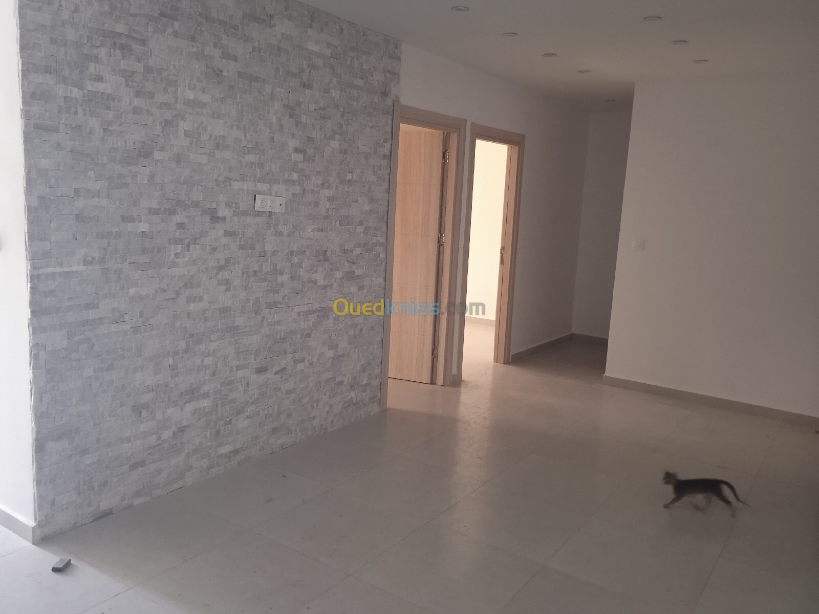 Location Appartement F3 Alger Ain benian