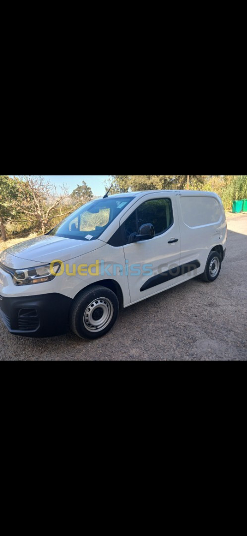 Fiat Professional Doblo 2024 