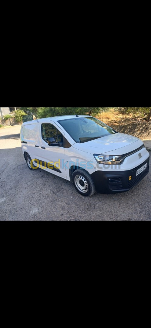 Fiat Professional Doblo 2024 