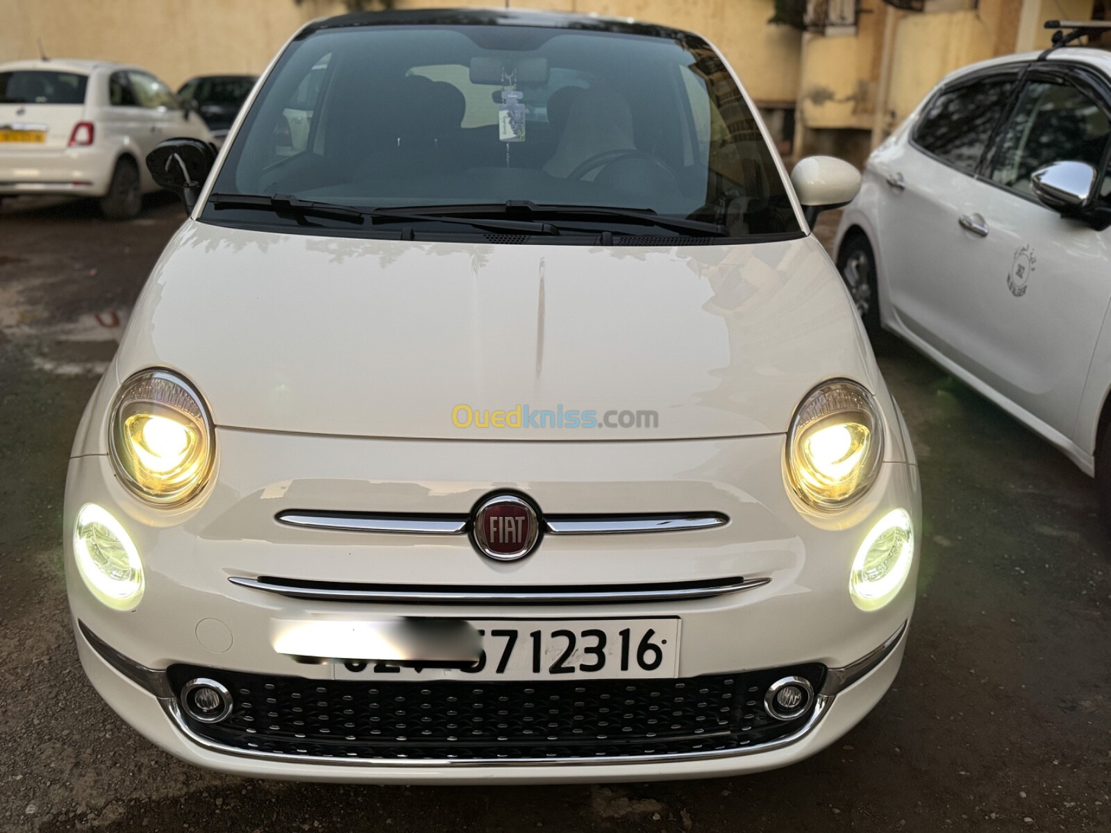 Fiat Fiat 500 2023 Club