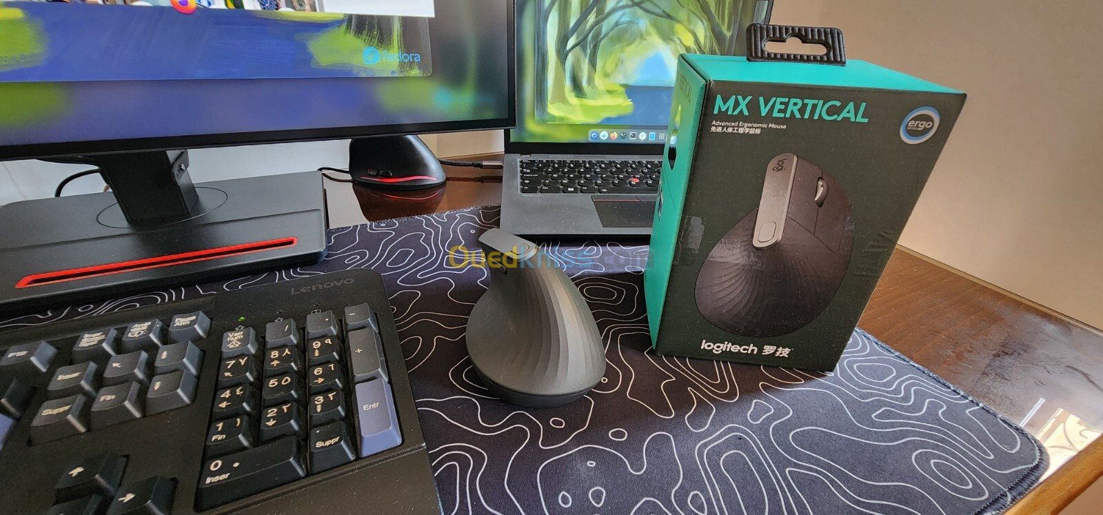 Logitech MX Vertical