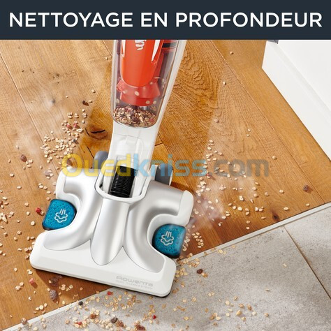 Aspirateur nettoyeur vapeur rowenta 