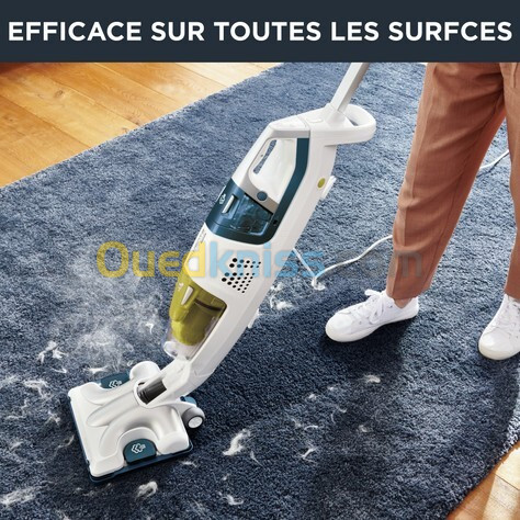 Aspirateur et nettoyer vapeur rowenta 