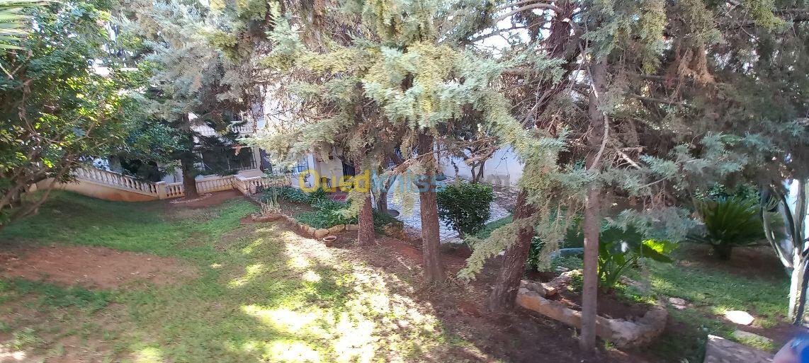 Location Villa Alger Birkhadem