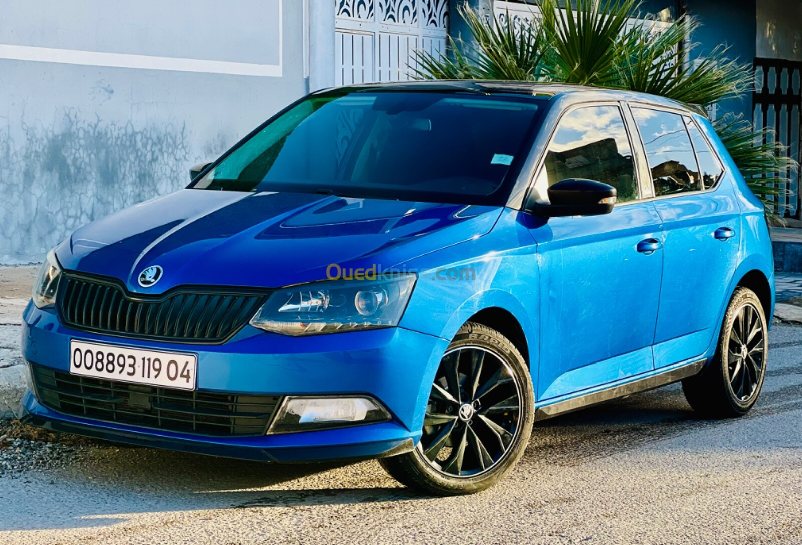 Skoda Fabia 2019 Monte Carlo