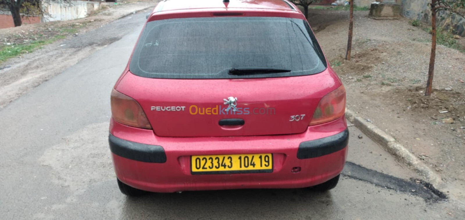 Peugeot 307 2004 307