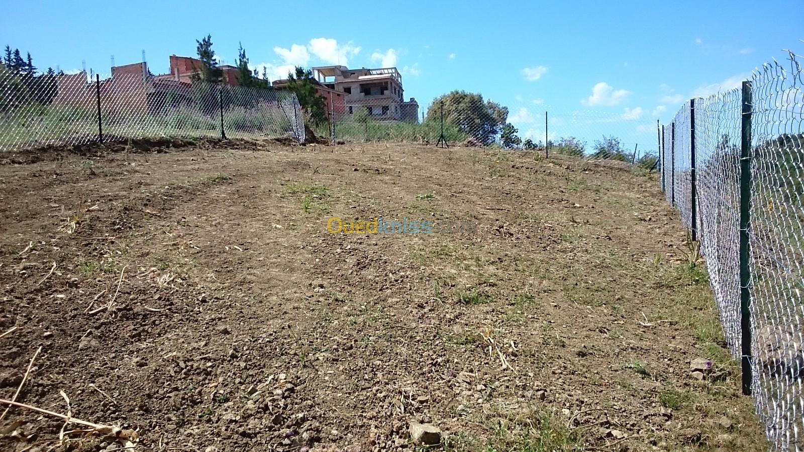 Vente Terrain Tipaza Cherchell