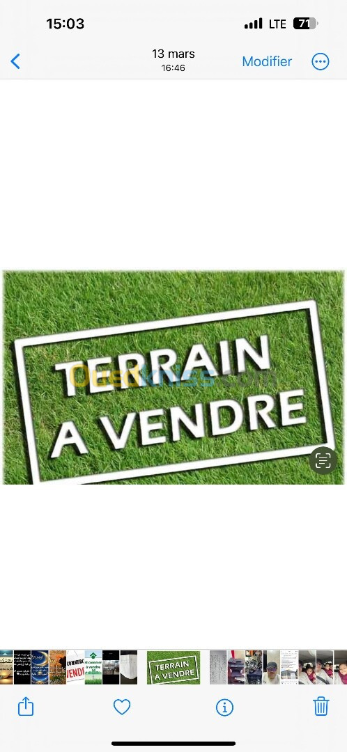 Vente Terrain Oran Bir el djir