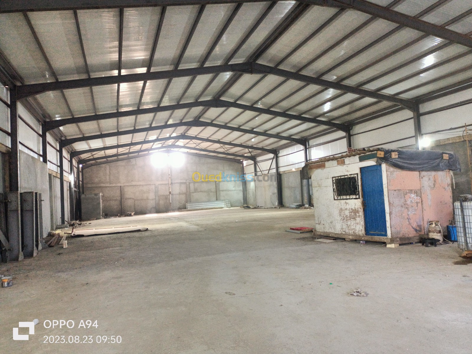 Location Hangar Alger Douera