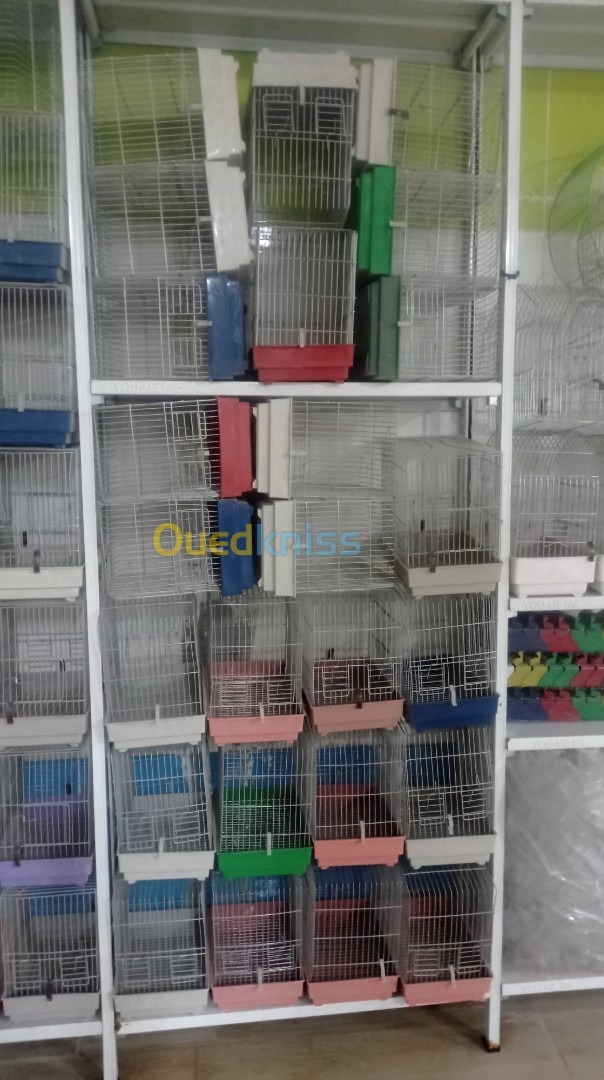 Cage et accessoires oiseaux 