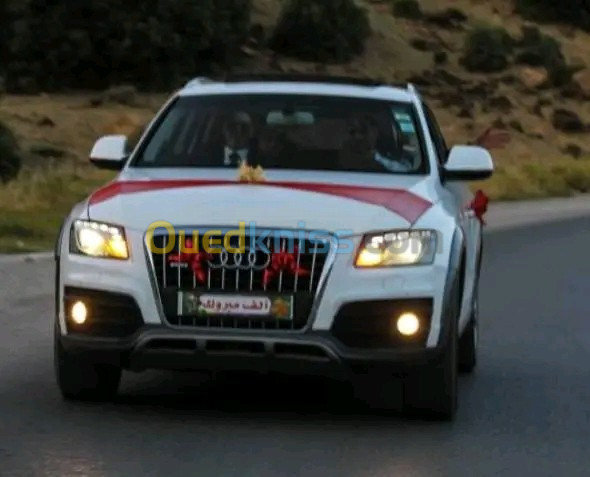 Audi Q5 2012 Off Road