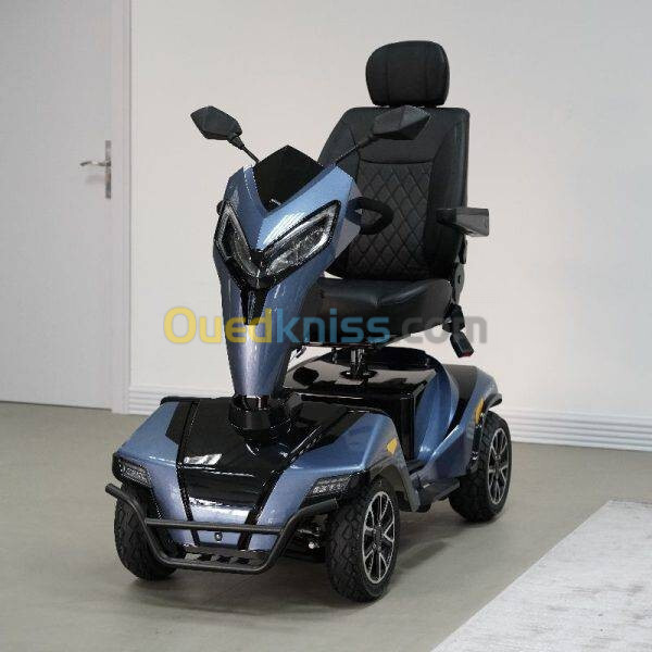 Fauteuil roul Scooter Mobilité électrique pour personnes âgées ou handicapés de Luxe _Elder EML49A-D