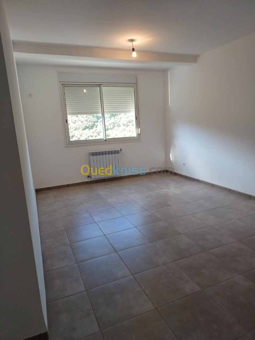 Location Appartement F3 Alger Birkhadem