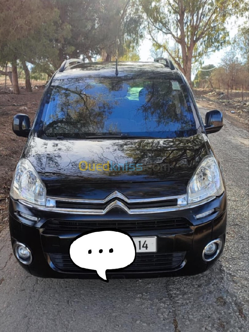 Citroen Berlingo 2012 Berlingo