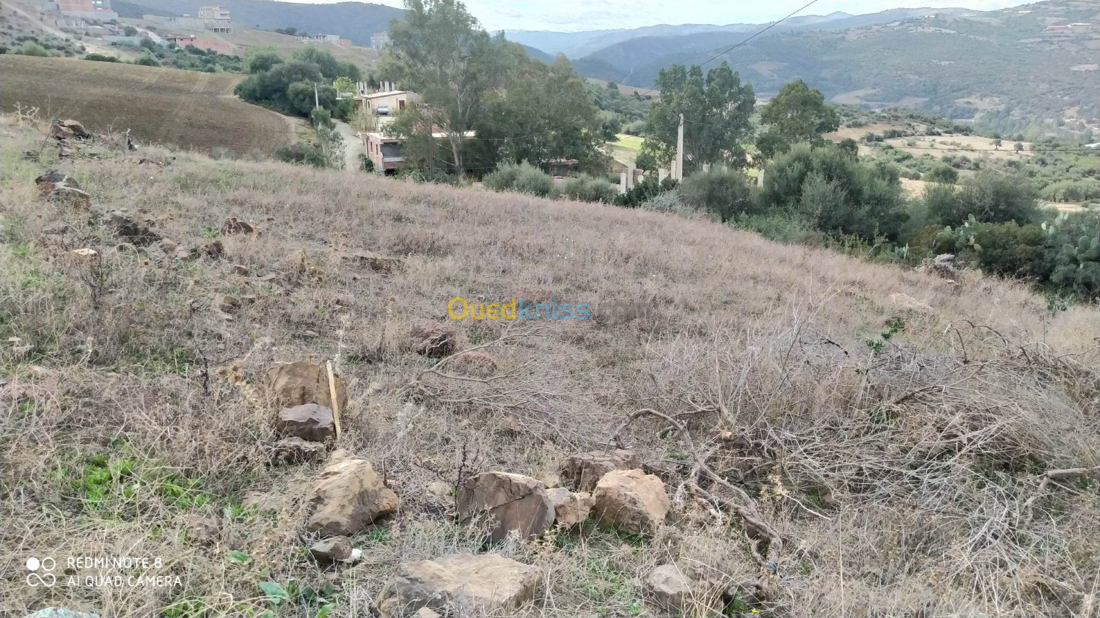 Vente Terrain Boumerdès Larbatache