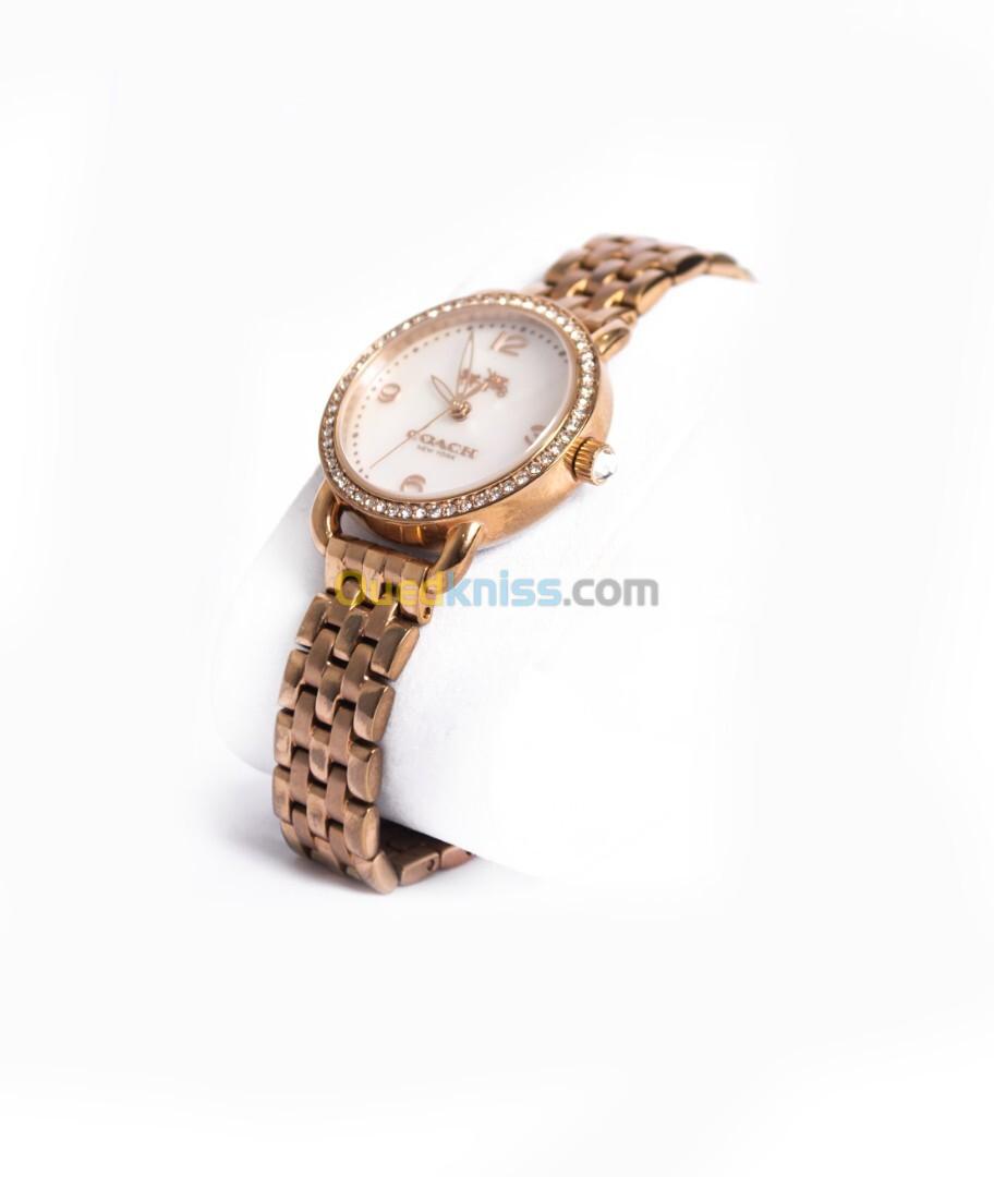 Montre Ladies Coach Delancey Original Watch 14502479