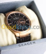 Skagen Men's Original 809XLTRB Titanium Collection