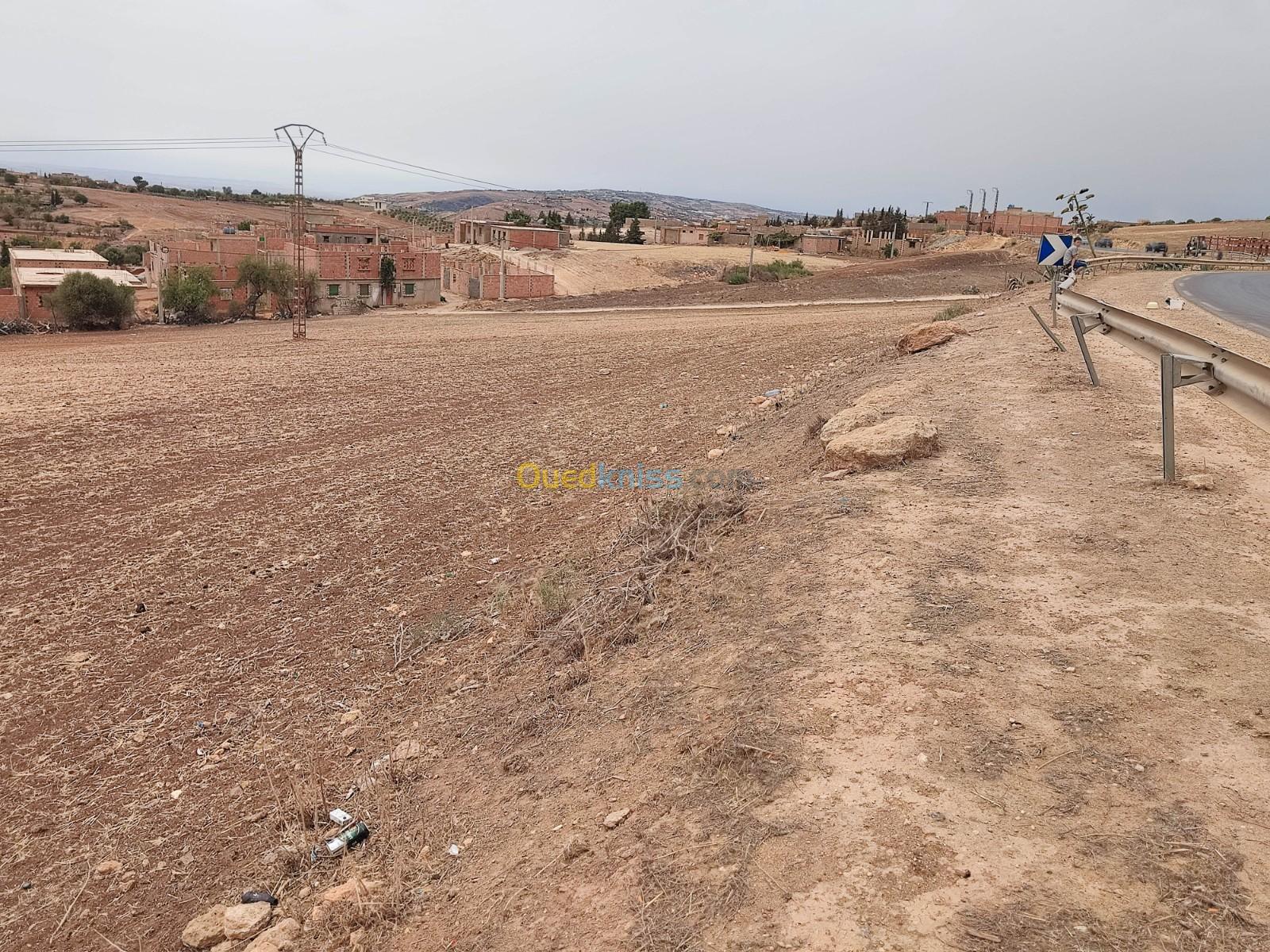 Vente Terrain Relizane Mazouna