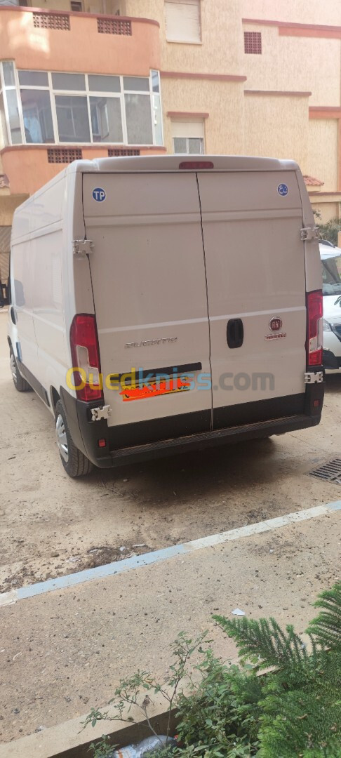 Fiat Ducato 2023