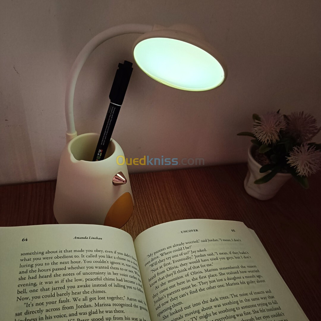 Veilleuse et lampe de bureau rechargeable LED avec porte stylos et support pour smartphone