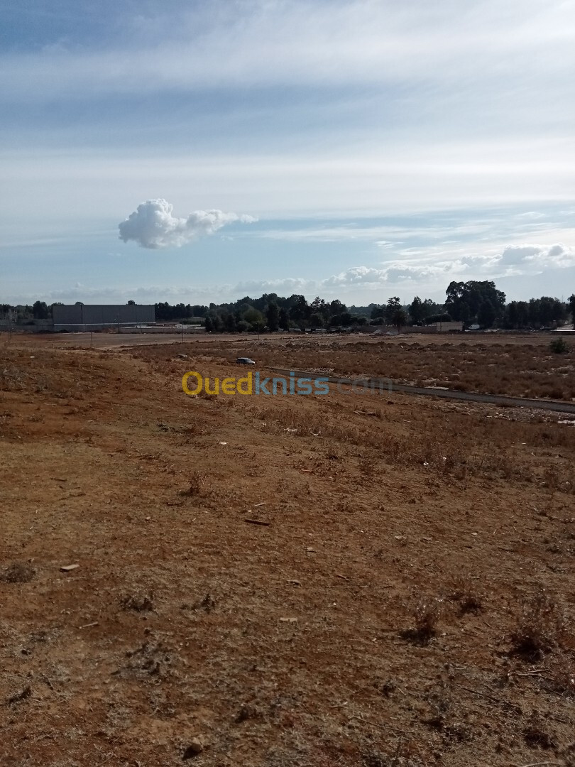 Vente Terrain Sétif El eulma