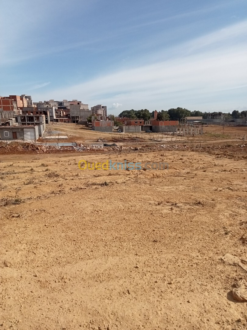 Vente Terrain Sétif El eulma