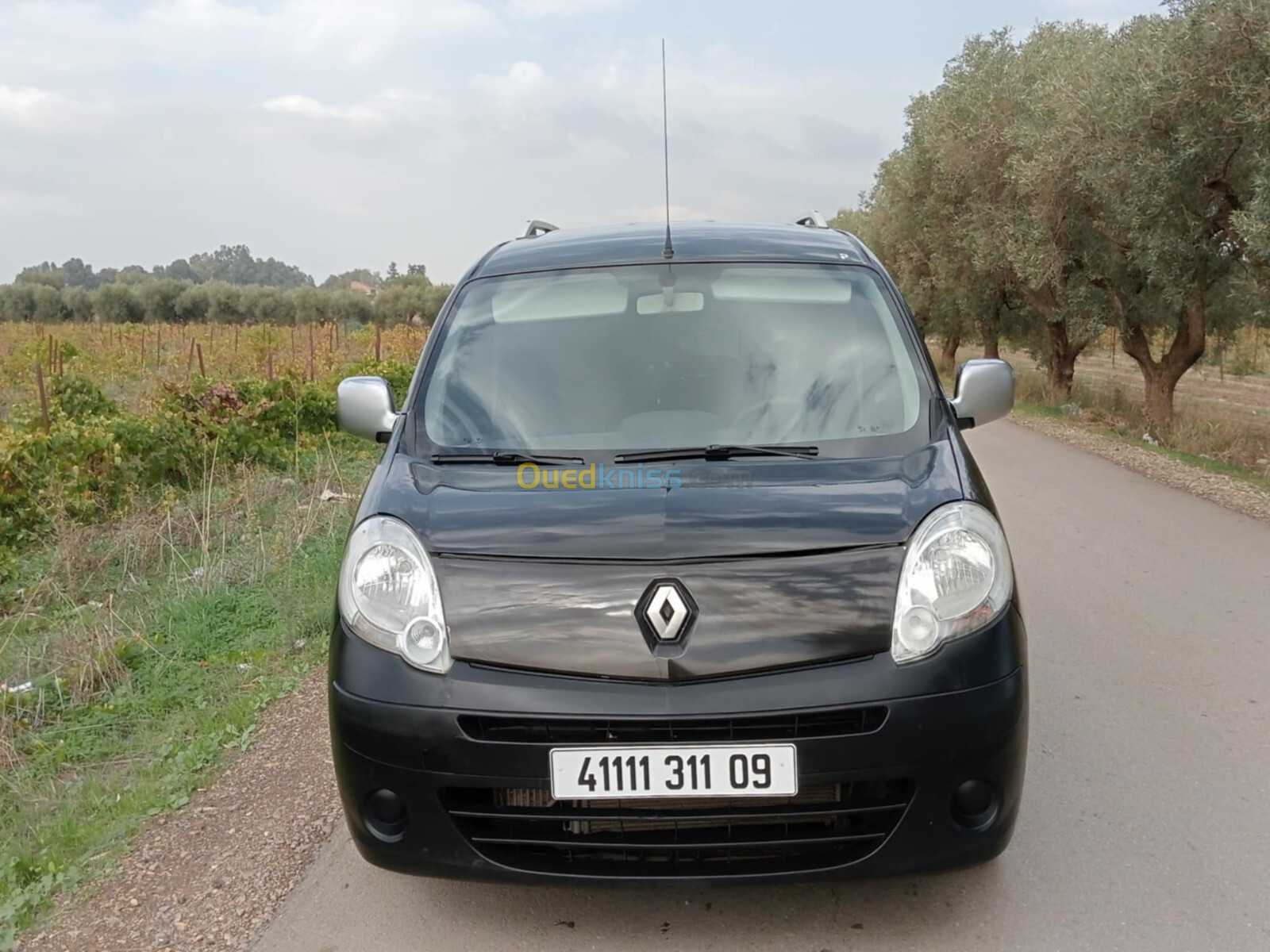 Renault Kangoo 2011 Kangoo