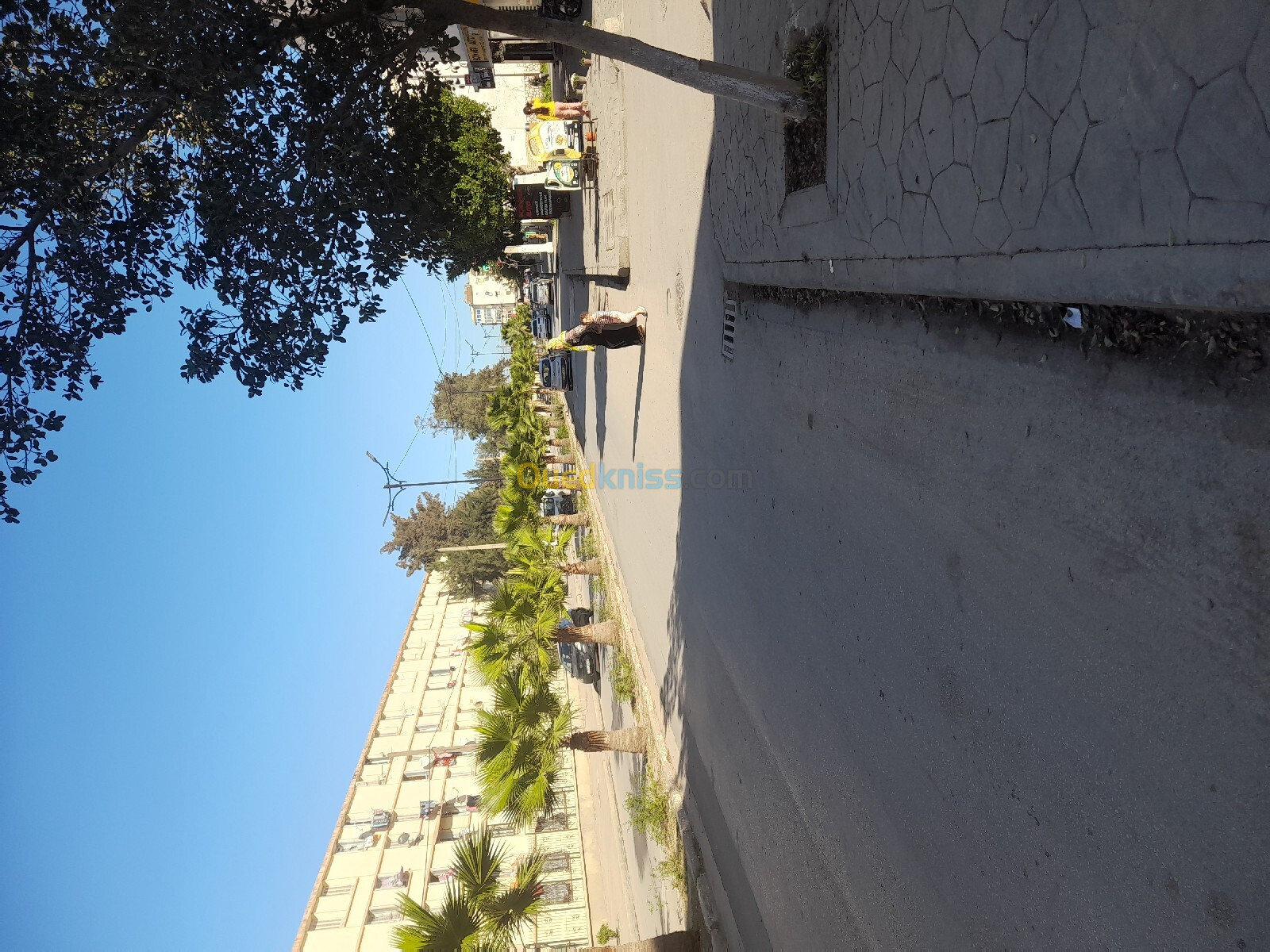 Location Appartement F3 Alger Rouiba