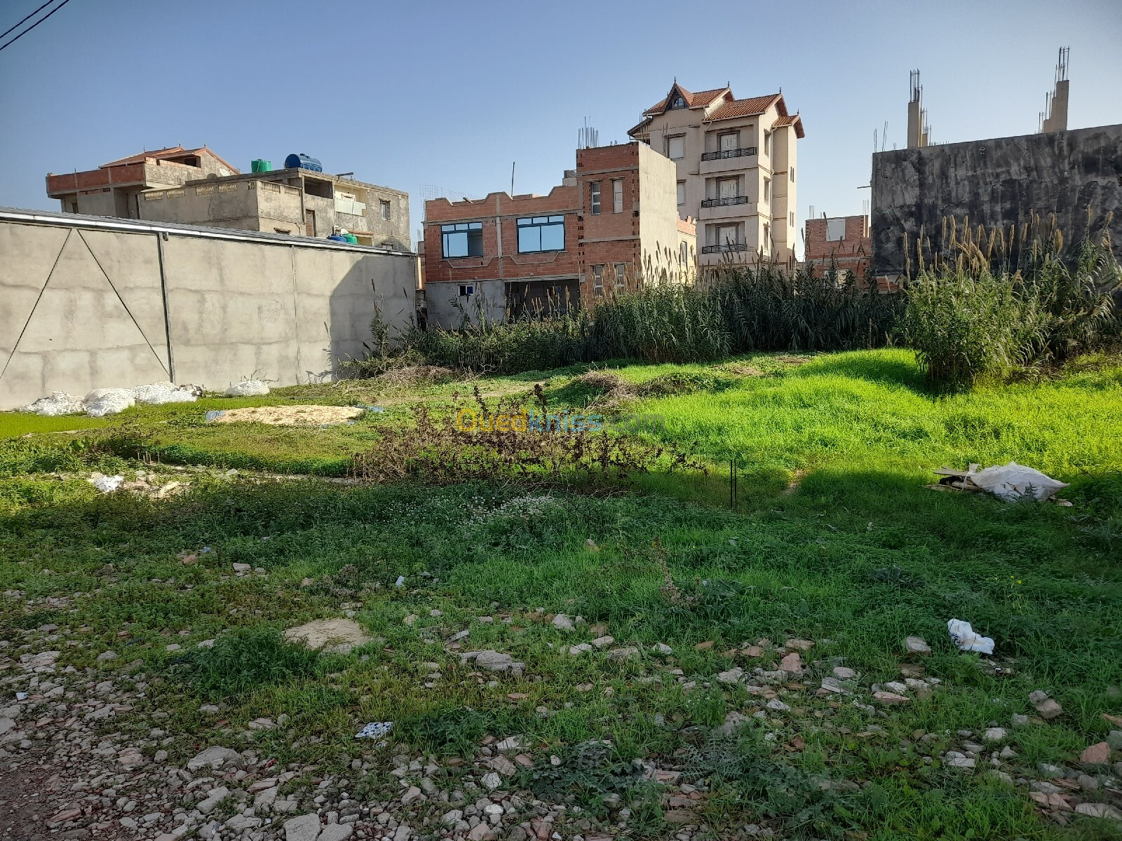 Vente Terrain Alger Reghaia