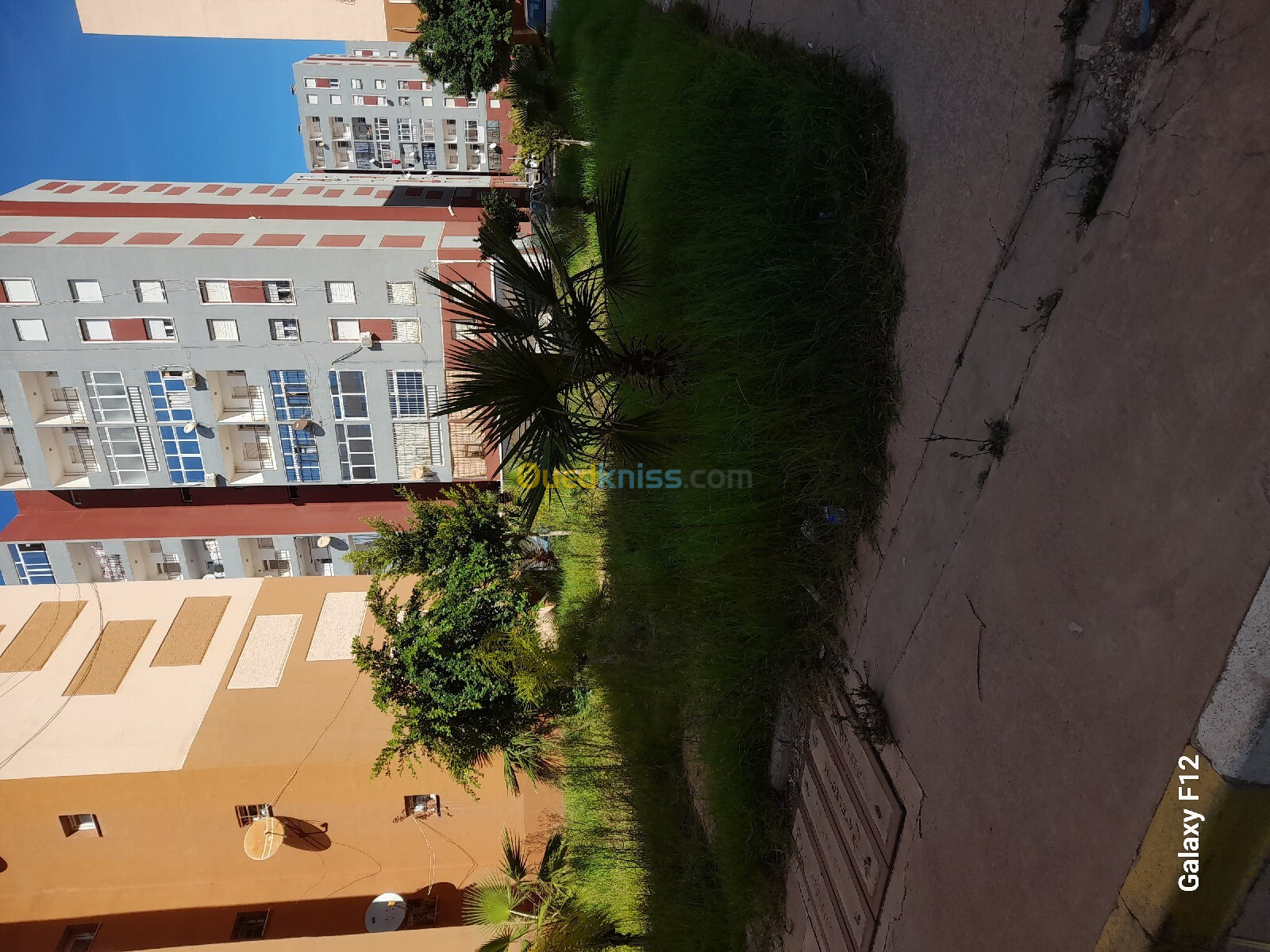 Location Appartement F4 Alger Reghaia